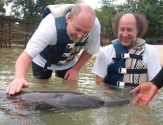 Nice dolphin!